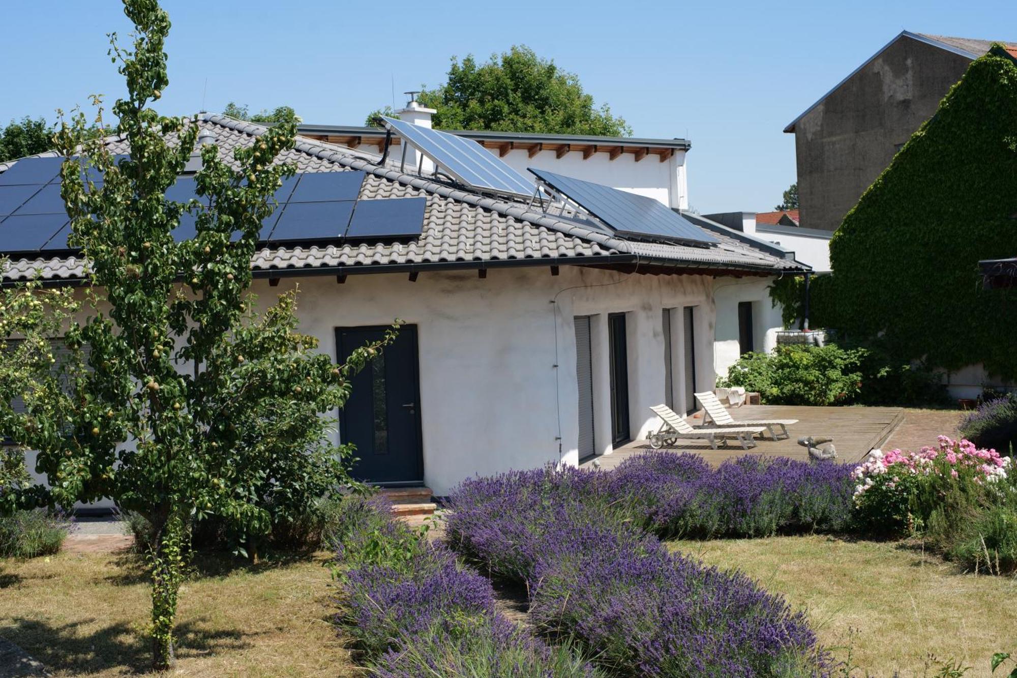 Strohlehm'Zhaus Διαμέρισμα Weiden am See Εξωτερικό φωτογραφία